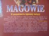 Adrian G. Gilbert • Magowie. W poszukiwaniu tajemnej tradycji